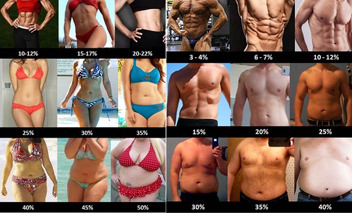 comment avoir des abdos en 1 semaine femme