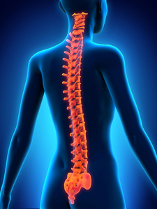 Maintenir un dos stable lors des exercices d'abdominaux