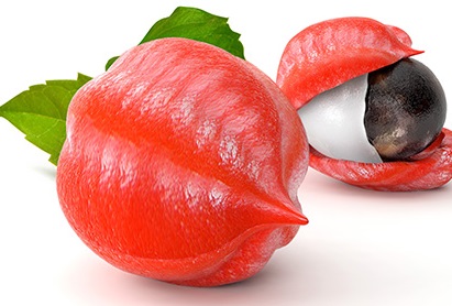 Gel minceur