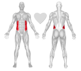 abdos obliques