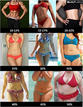 combien de temps pour avoir des abdos femme